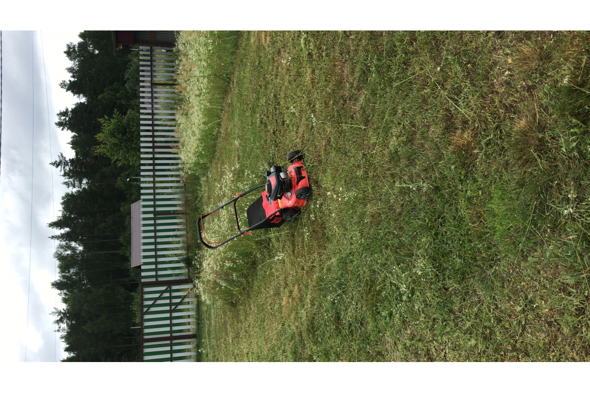 inom3kdnk7ujmtfcnemfm66y4hfith49