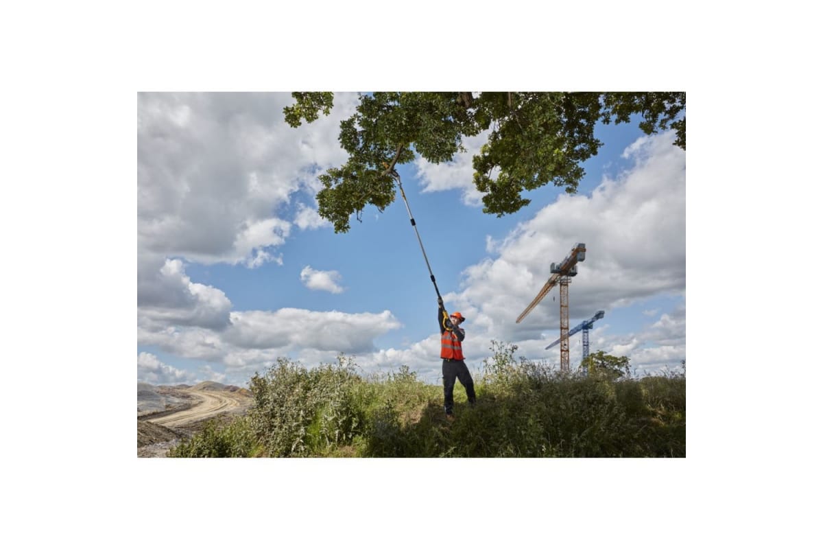 z8yxgo1a3xvi6yi8obsh61kzjfjqmryl