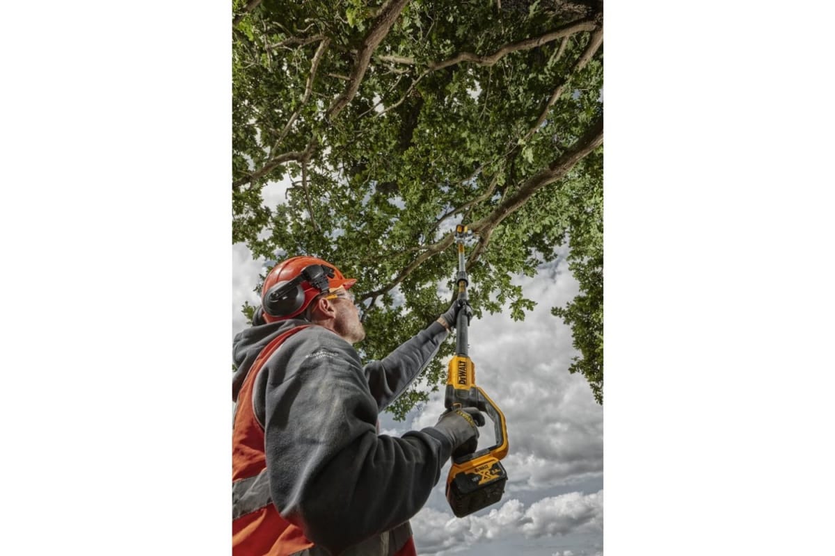 pnmmf4eue0tl7w71806eus81d5uu3bh1