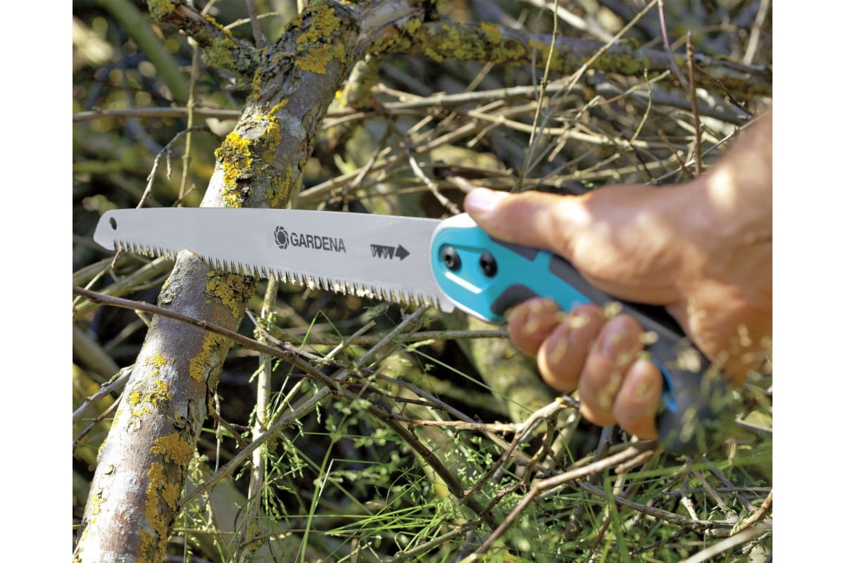 h4bw8j6bgpzfcxdf7uukpiddf0s17rgn