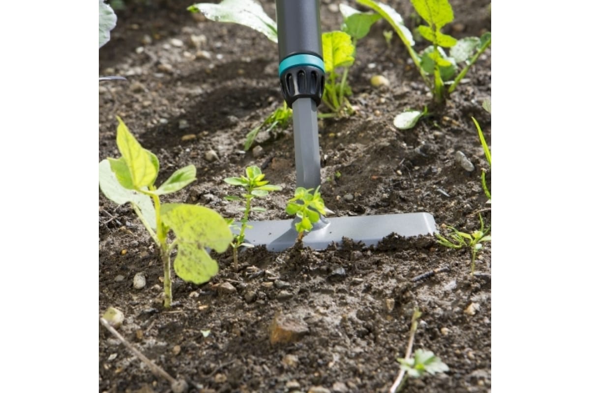 gqynhe482ivhobgd78ej9xqsbev7gi0u