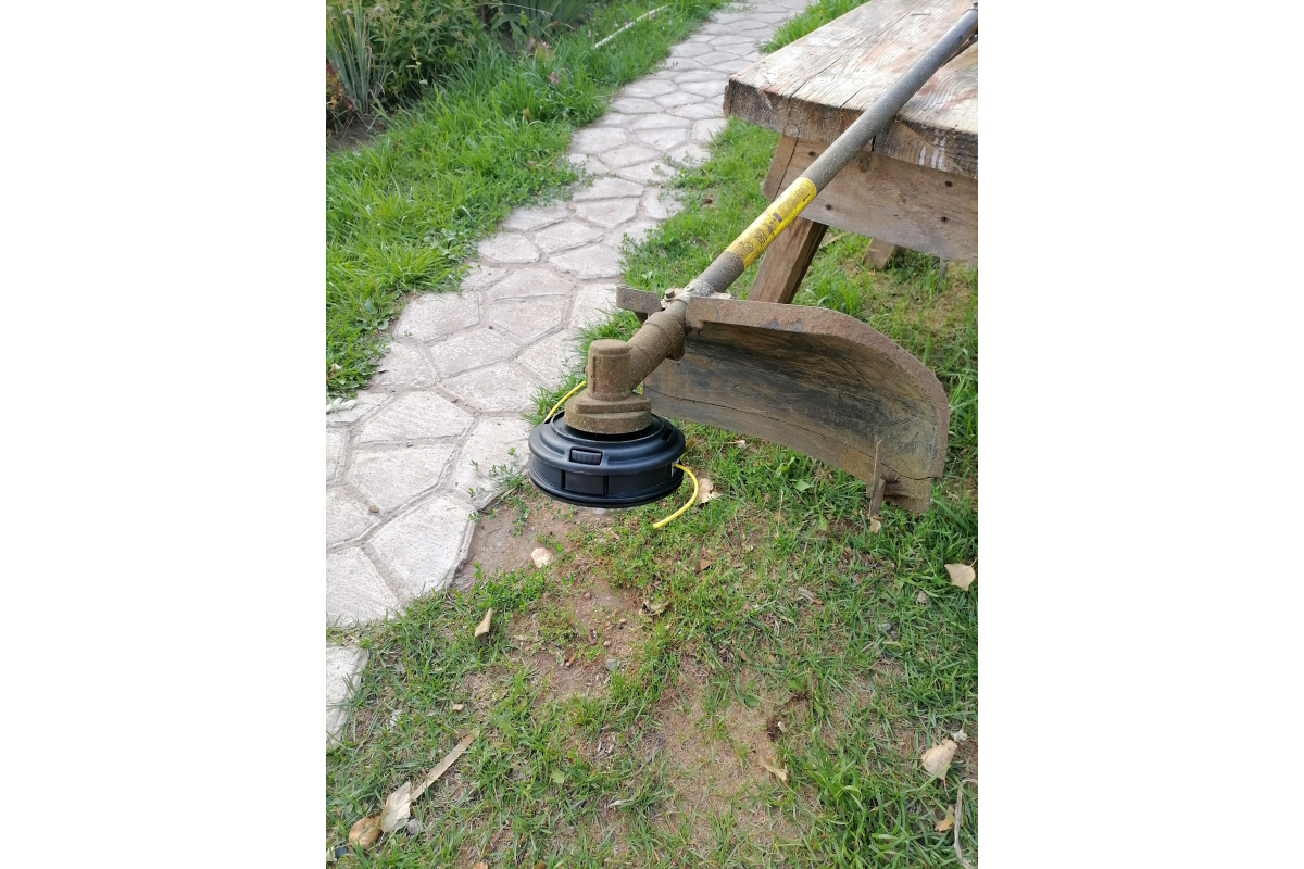 wf421ay3ii3552zylg7nwikwe3jby65q wf421ay3ii3552zylg7nwikwe3jby65q