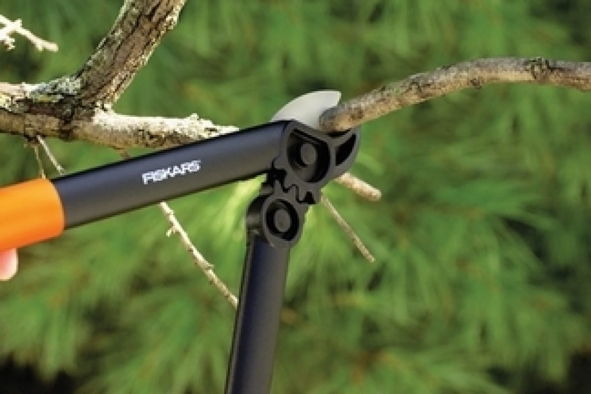 d78ya05x3krv5c2n5zo0idg7blycxdce