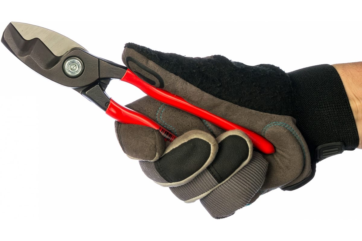 axxwuycwayrf11le5xdlcrbvq6a77jqp