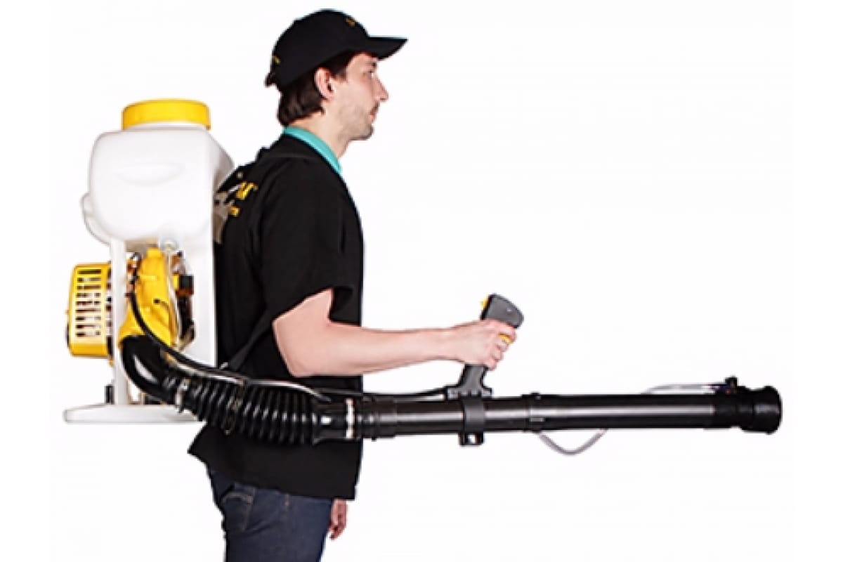 s7345jinpq010u84yh3h9fo9bw2lc0g5