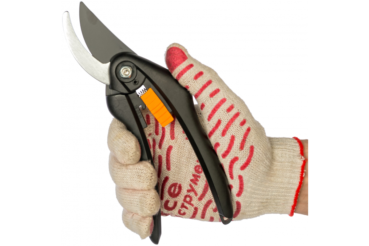 ro2vsx3n7vc0w41xq52kyem1td6syp7c