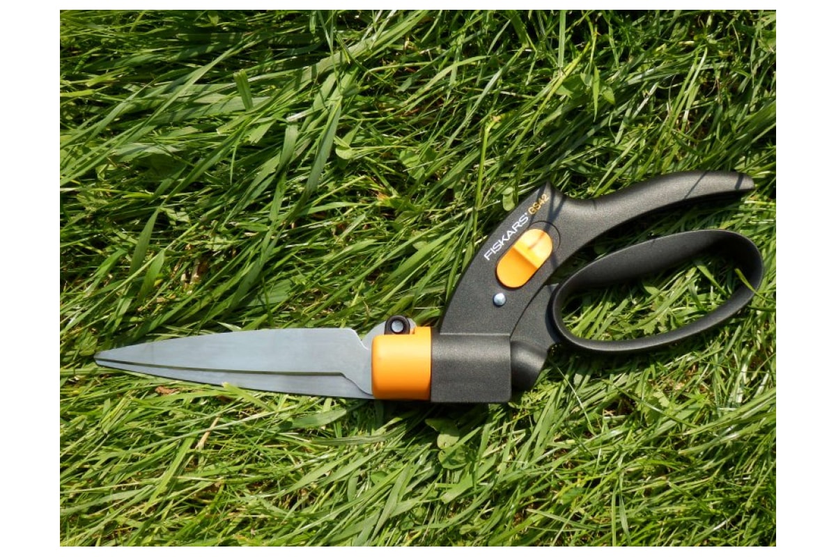 4mcs9oyexbfpk5w727mov1htm1rsizlo