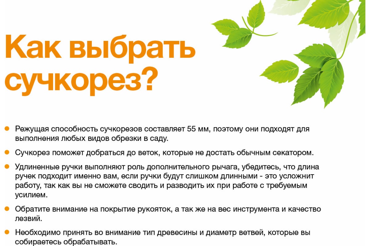 ht7d9mrdz9lv1a9lds25x6obe5zv3p6n