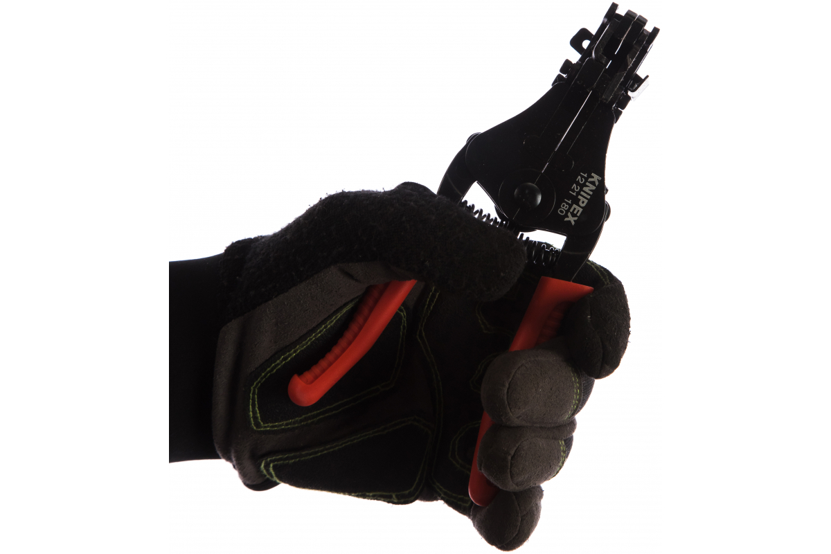 golbb88ktwrgfskfbbttk5gtrj22i9hk