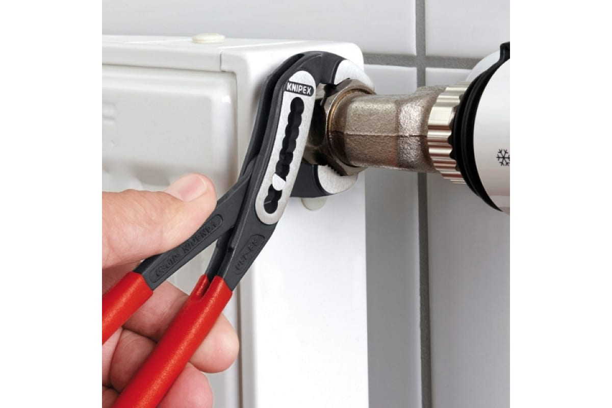 1ebqioac1mnkengvaxoe2uggtrujfwx4