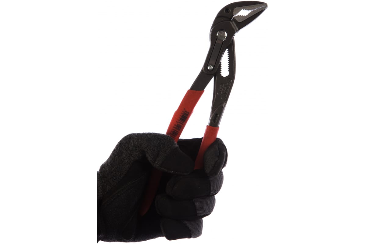 6a6xnunb5grv2mub3jjan5npk0cmtnn5