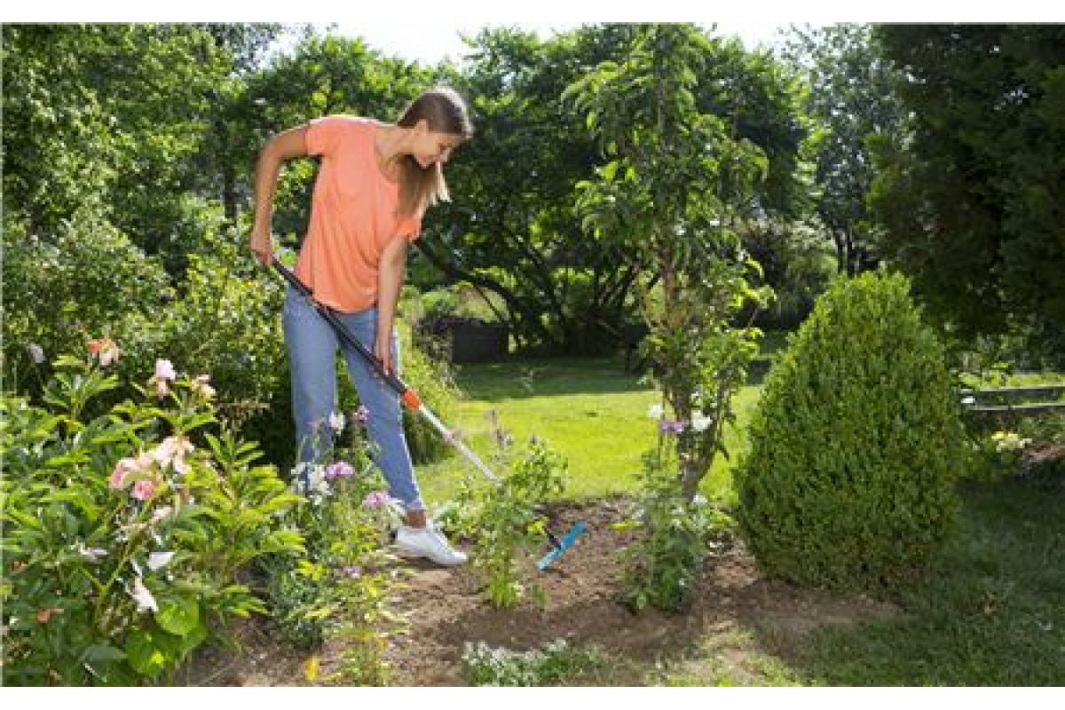 yv631jgaav8dhoe7d1ba59zdlqcbdrvc