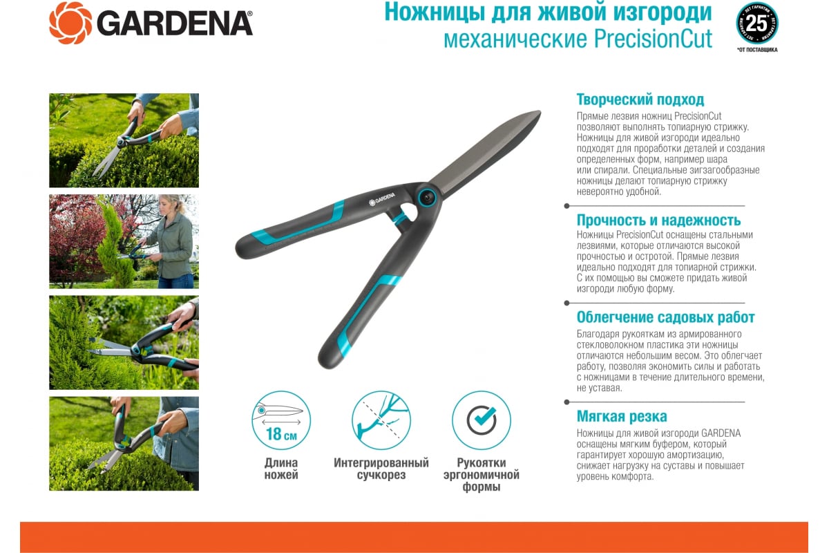 z5npfj89yk7b1fwbd4rh52mdk9pew3if