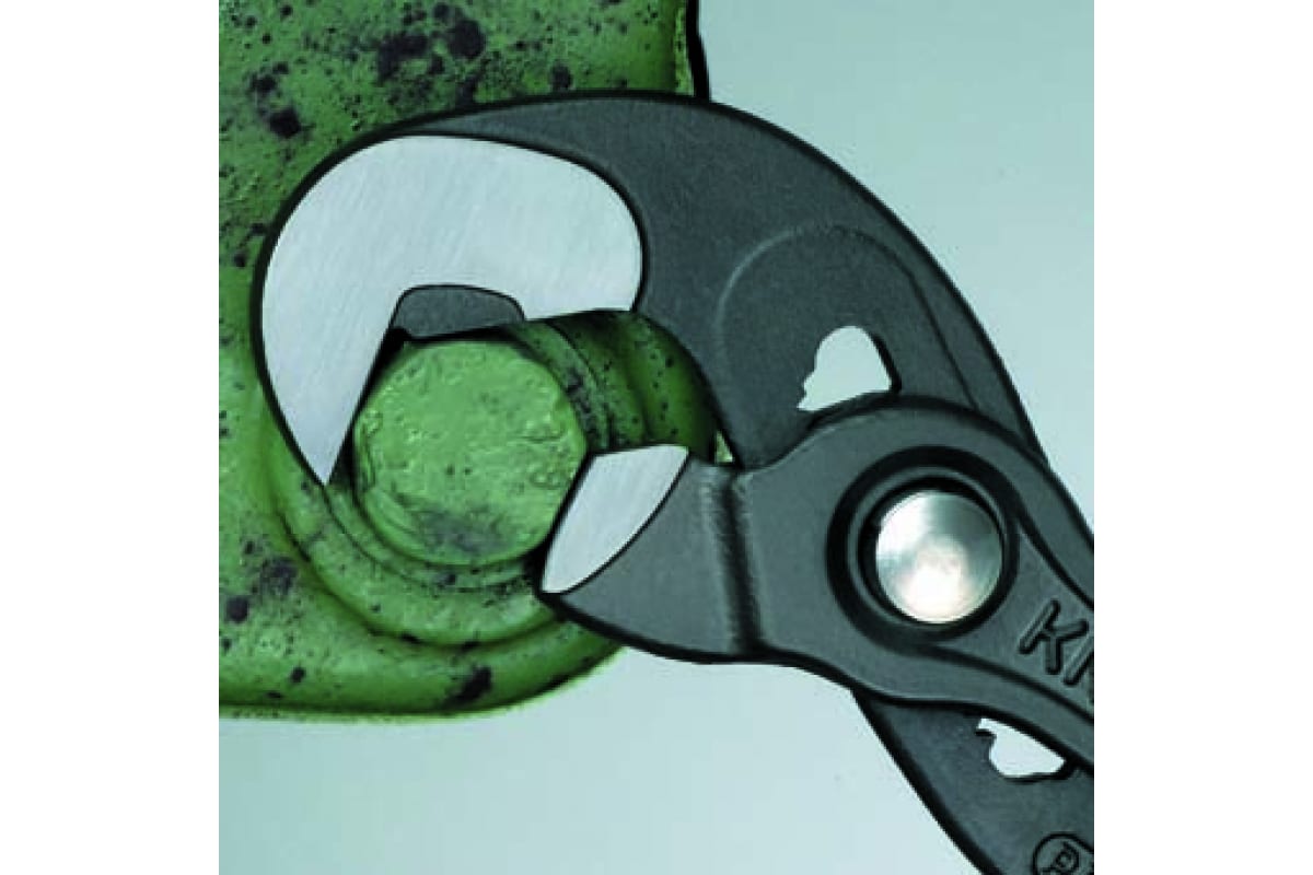 v5lp9t9ywyf8luoprj2pinl9xip8orqm