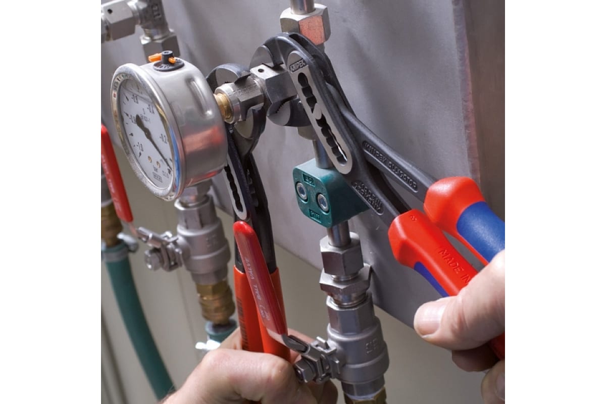 smfiza1h6scq4ew5q96p5znbdy8woivv