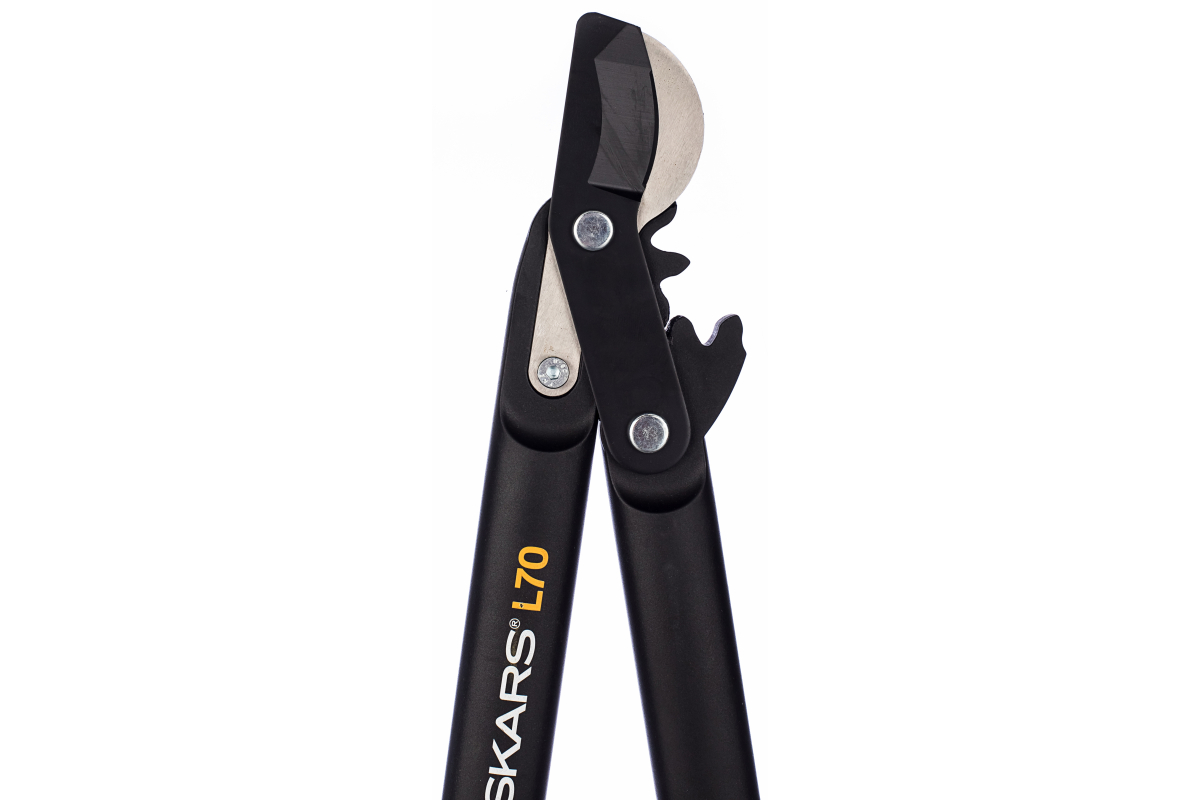 vw3zd2h3fi5s7s3qnw118j130p7xycc1