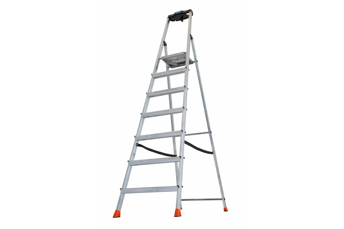 17v5wftn7ou7b6j10d6uo55gnlz6xw03