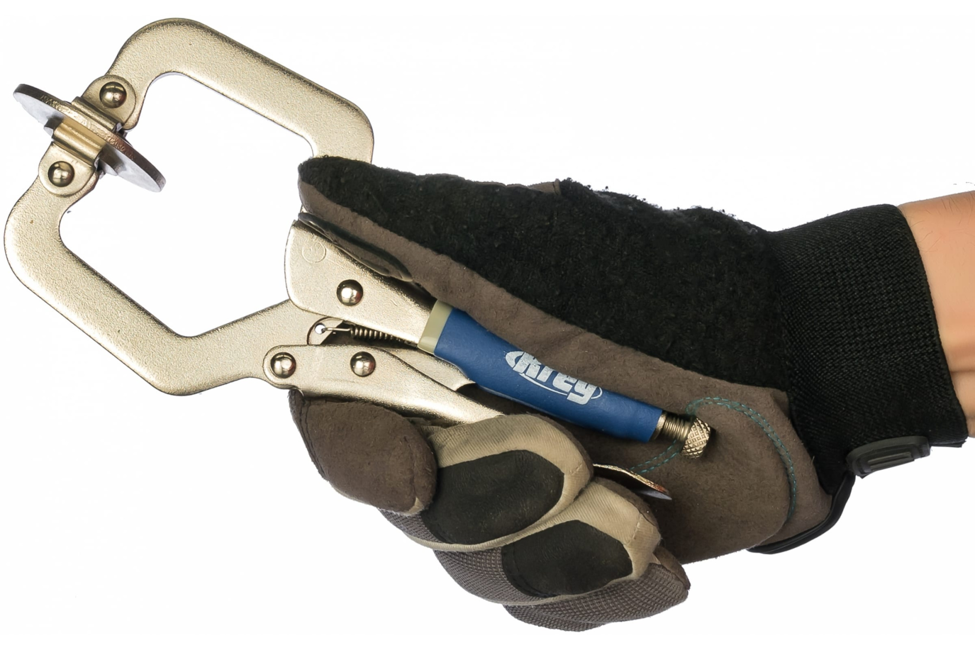 s6cg3rn9lgfshpan9dkcynn0yfotuxdy